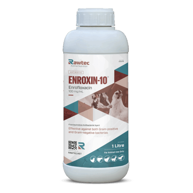 ENROXIN-10