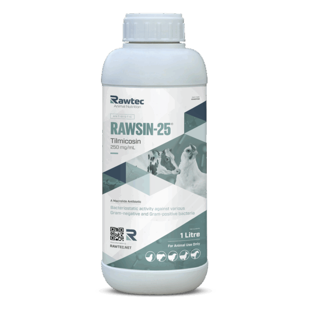RAWSIN-25