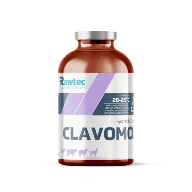 CLAVOMOX