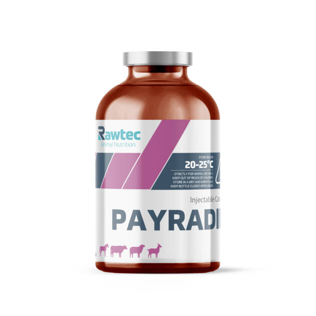 PAYRADIN