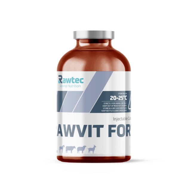 RAWVIT FORT