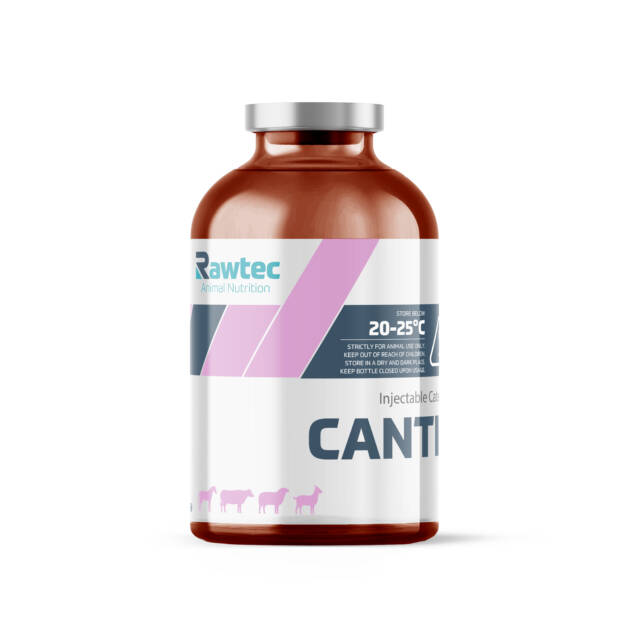 CANTIL